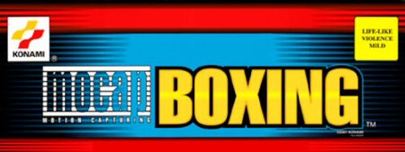 MoCap Boxing