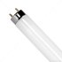 Nintendo Fluorescent Light Bulb F10T8